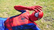 Đồ Chơi Cho Bé - Nữ Hoàng Băng Giá ELSA bị biến thành con Nhện! Siêu Anh Hùng Người Nhện (Spiderman)
