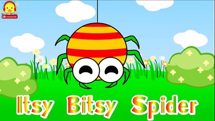 Itsy bitsy spider song ♫ Kids songs ♫ Nursery Rhymes Indy songs Kids
