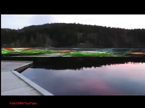 SCI-FI - HORNY MERMAID QUEST - TAYLOR STRIKES AGAIN SWIFT 18+ XXX - (الحب الحيوان) Pareja Sirena