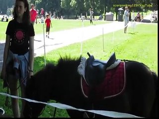 SCI-FI SCORPION KING - A Girl and Her Paranormal Horse 18+ - الجاز - الحيوانات في الحبـ