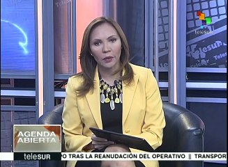 ¿Cuáles son las 4 vías para la posible reelección de Evo Morales?