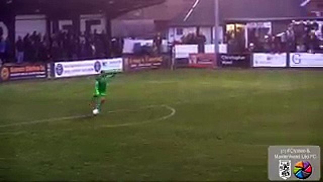 The Best Goals 2017 (Video)