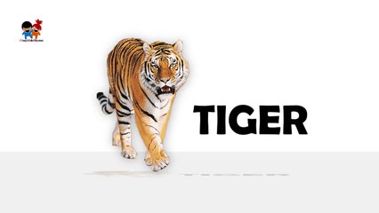 wild animals nursery rhymes for children|Alphabet Song | ABC Song for Children