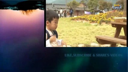 Funny Daebak ep 156 Dogs run Daebak Trailer