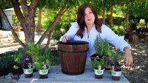 Planting Herbs Garden Answer