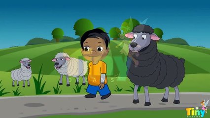 Nursery Rhymes - Baa Baa Black Sheep - Children Songs