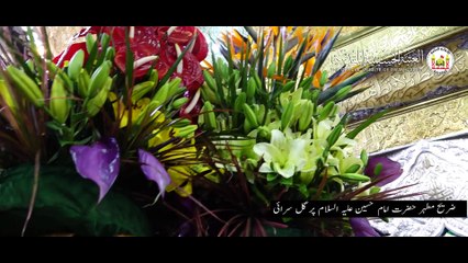 ضریح مطہر حضرت امام حسین علیہ السلام پر گل سرائی