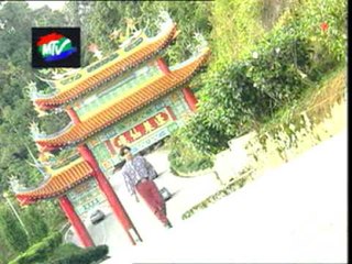 富贵花开迎新年。 春花齐放。新年頌 - 雅歌群星