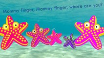 Sea Star Finger Family Song Daddy Finger Nursery Rhymes 2016