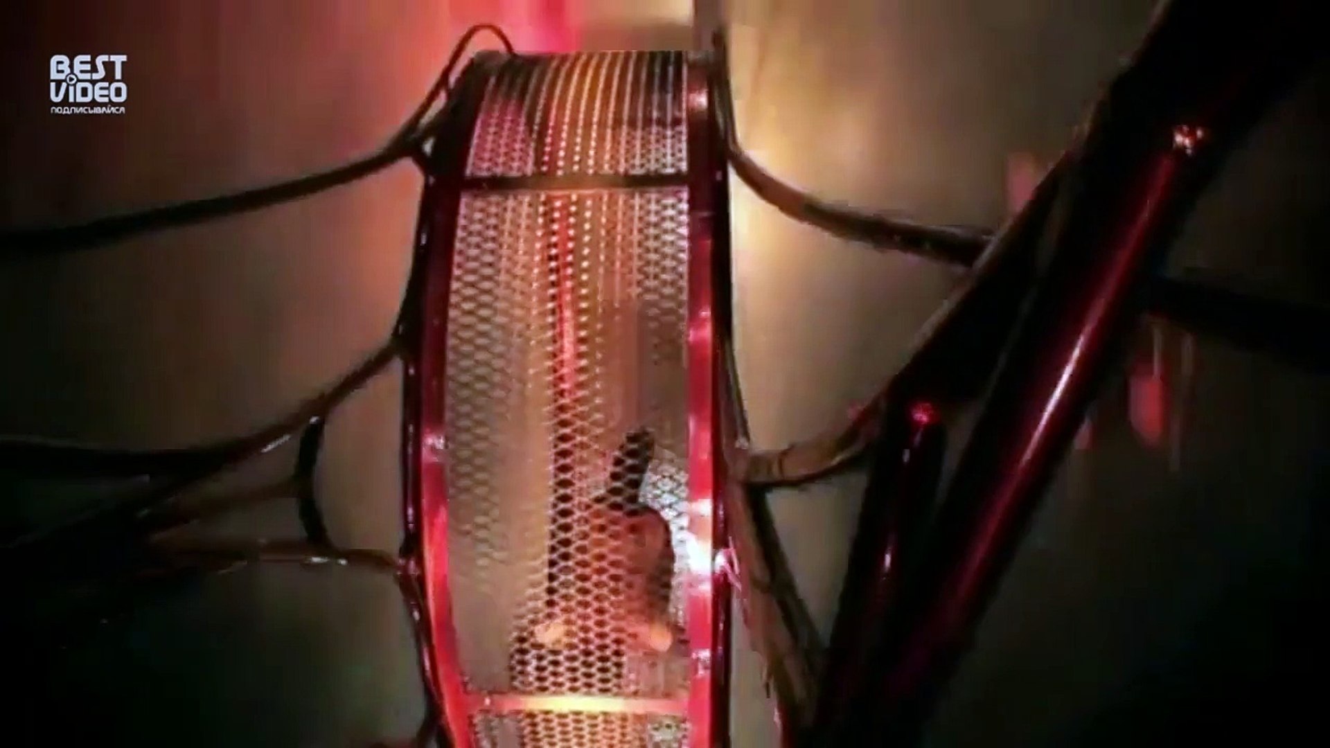 Колесо смерти. Красота.Одно неверное движение и  конец