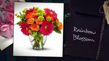 Online Birthday Flowers Delivery - EfloralGifts
