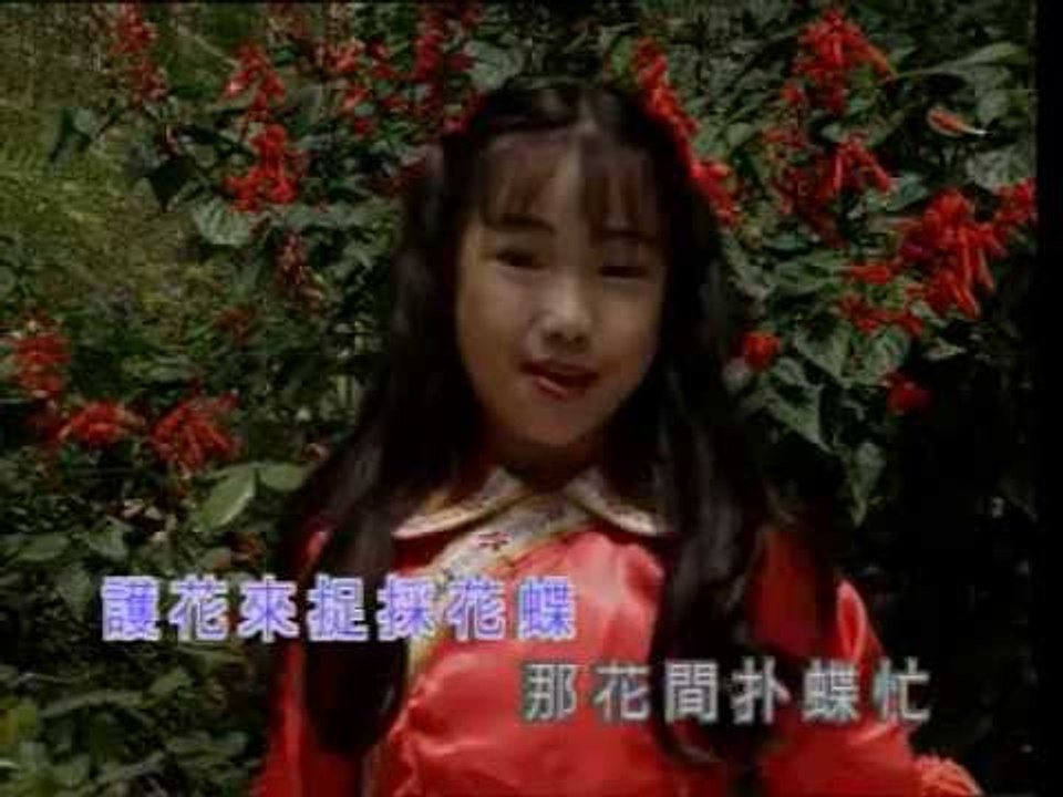 扑蝶