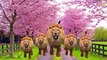 Animals Horse, Elephant, Gorilla & Lion, Tiger, Sounds For Nursery Rhymes For Lyrics