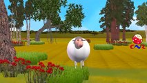 Finger Family Rhymes for Children with Sheep Cartoons | Animal Finger Family Children Nursery Rhymes