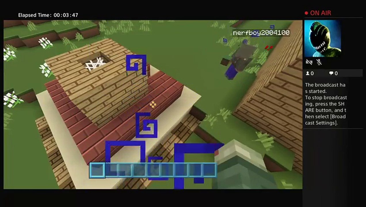 Minecraft (12)