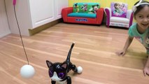 CUTE ZOOMER KITTY and ZUPPIES PUPPY Interactive Pets Pet Puppy Cute Kitten Cat Toy Opening Kids Toys
