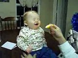 Funny Baby Eats a Sour Lemon