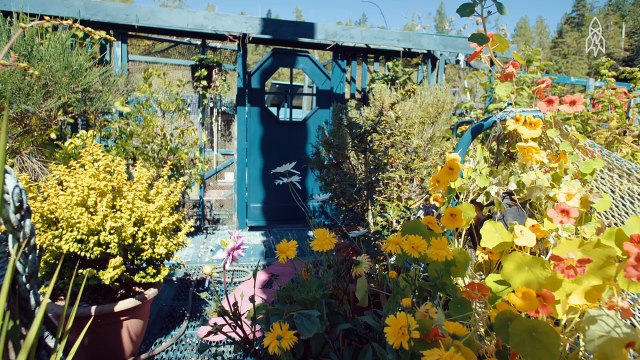 Ils se construisent un paradis flottant de toutes pièces: Ce qu'ils utilisent pour le faire est déconcertant!