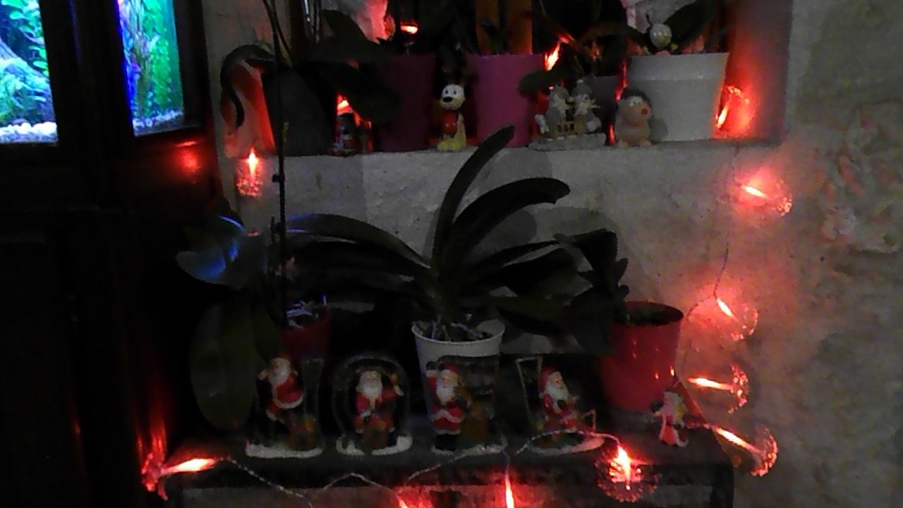 noel 3