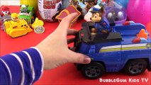 Paw Patrol Surprise Bag! Surprise Eggs Paw Patrol Surprises and More!