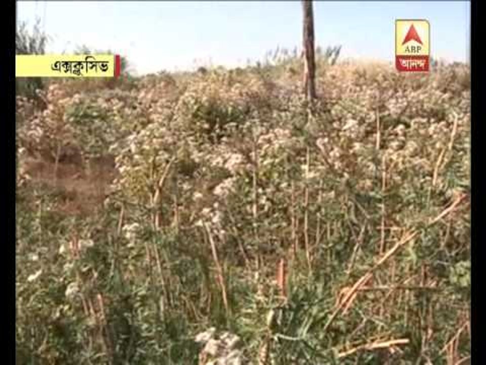 Bodo militants transit route in Assam