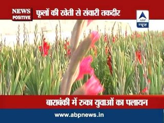 ABP News Positive: Floriculture does reap benefits