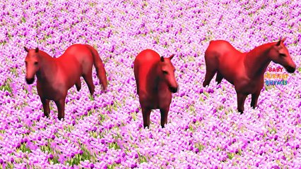 3D Horse Colorful Color Song For Children Rhymes | Horse Dance For Children Collection