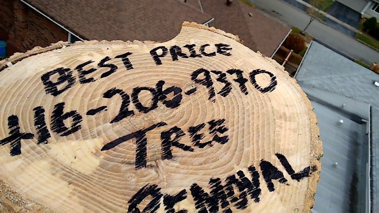 Tree removal 416-206-9370 Toronto Markham Oshawa Mississauga Oakville