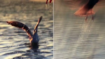 TOP 5 Most beautiful smartphones - YouTube