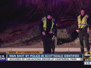 Man leads police on chase after carjacking, gets shot at
