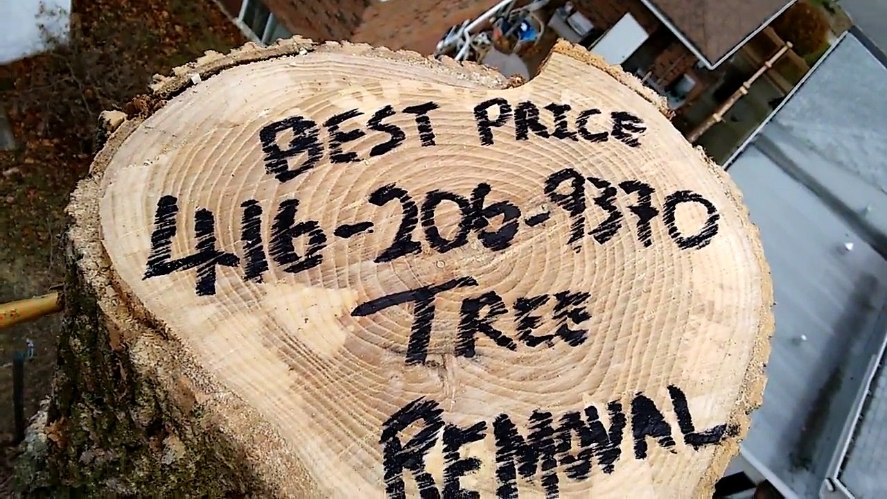 TREE REMOVAL GTA