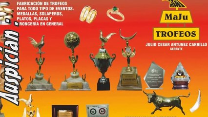 Most Awesome CockFighting _1 - Amazing Videos Fighting