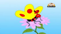 Classic Rhymes from Appu Series - Nursery Rhyme - Im A Little Butterfly