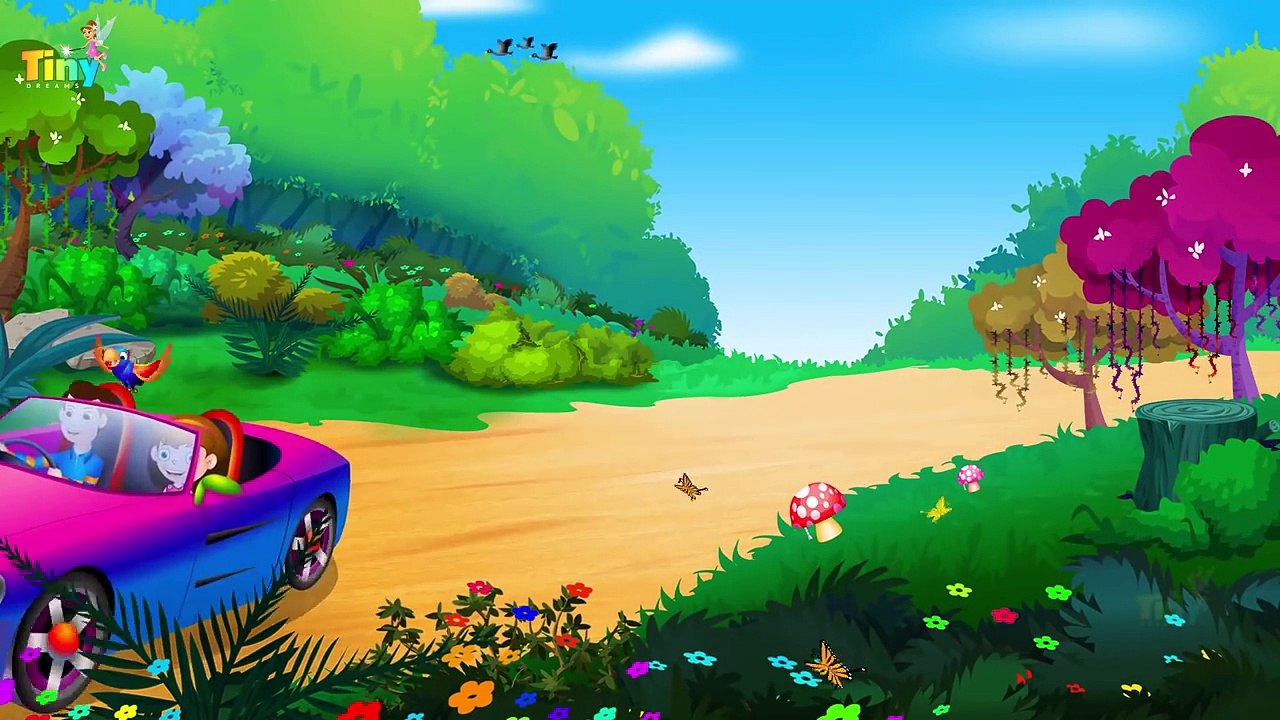 The Zoo Song | Animal Song for Kids | Nursery Rhymes