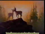 Bambi - Canto al amor