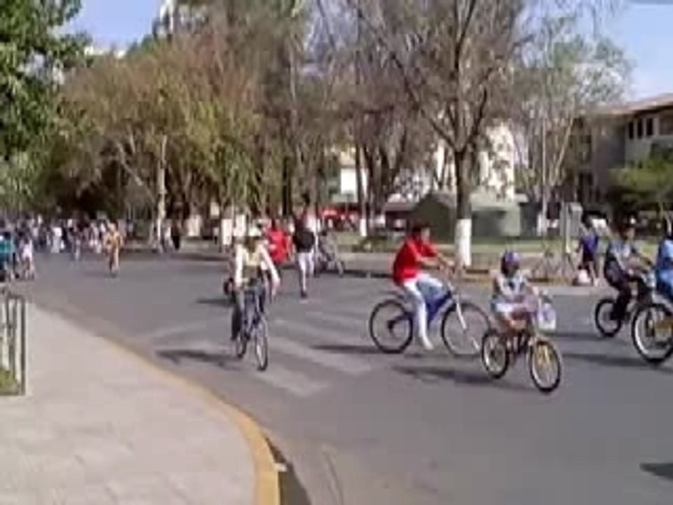 Pedestrian Day