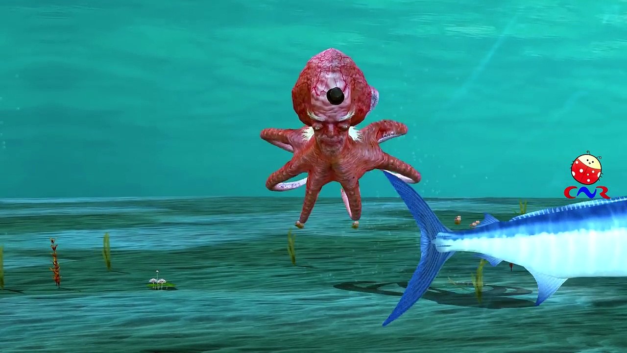 Sea Animal Like Whales Dolphins Octopus And Sharks Singing Finger Family Nursery Rhymes For Children