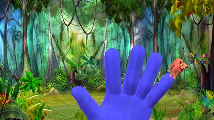Finger Family Nursery Rhymes for Children | Lion Cartoons | Children Nursery Rhymes Collection