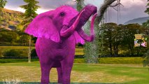 Colors Gorilla Vs Elephant Finger Family Rhymes | Finger Family Rhymes Songs | Colors Animal Rhymes