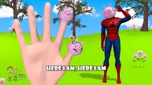Peppa Pig Spiderman | Nursery Rhymes | 3D Animation From TanggoKids Nursery Rhymes