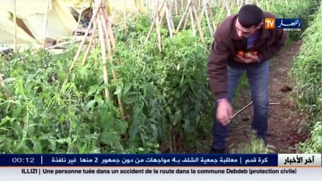 الفلاحة الجبلية بتيزي وزو.. أمسية اليوم على النهار تي في