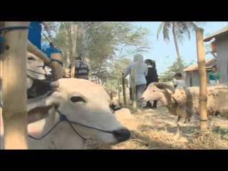 Prilly Latuconsina Berburu Hewan Kurban - Status Selebriti 20/09/15