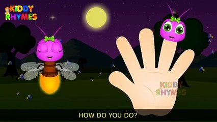 FireFly Finger Family | Finger Family (Ant Vs bee ) Finger Family Nursery Rhyme
