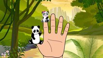 Animals Finger Family Song | Mega Finger Family Collection Learn to count with the animals