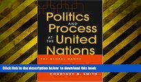 PDF [DOWNLOAD] Politics And Process At The United Nations: The Global Dance READ ONLINE