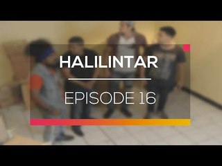 Halilintar Episode 16 - Tonton Sekarang di SCTV! 🎬