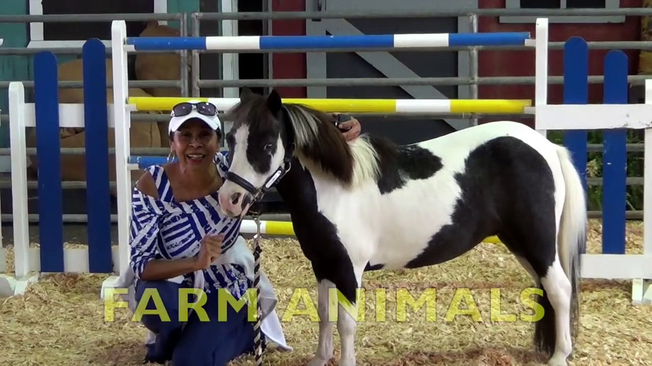 FARM ANIMALS & Their Sounds (P 7) Babies, Toddlers, Preschool,  K-3 (Children Educational Video)