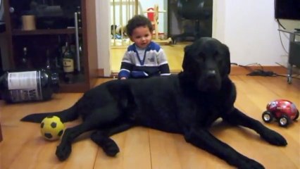 Cute baby with a huge black Labrador - 90 lbs (1)