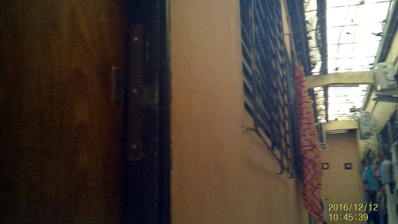 Diciembre 12 2016 parte II