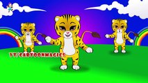 Best Collection of Rhymes for Children in English || preschool nursery rhymes